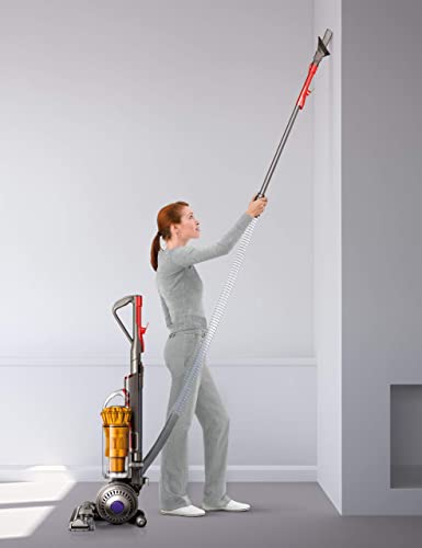 Dyson DC40 Multi Floor Lightweight
