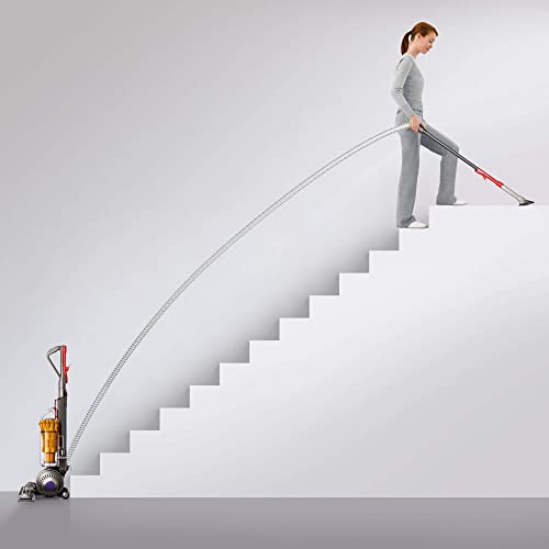 Dyson DC40 Multi Floor Lightweight