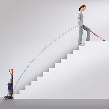 Dyson DC40 Animal Lightweight