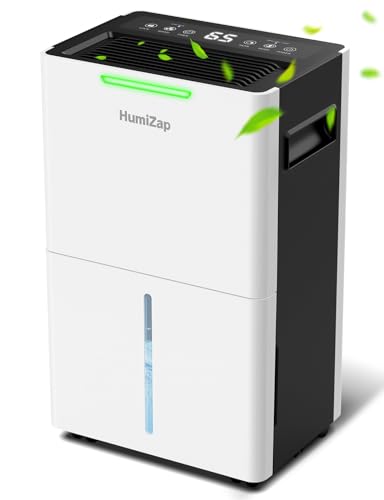 Dehumidifiers for Home Damp
