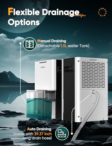 Dehumidifiers for Home Damp