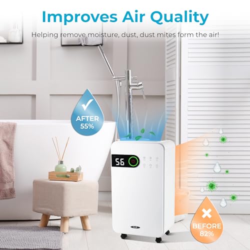 Dehumidifier 12L/Day with Digital Humidity Display