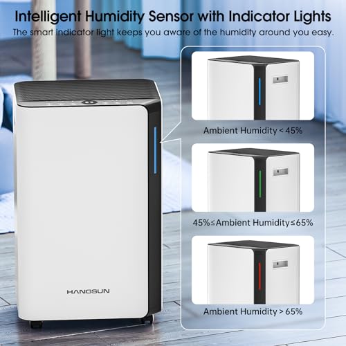 Hangsun 20L/Day Dehumidifiers for Home Dehumidifier for Drying Clothes and Damp