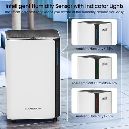 Hangsun 20L/Day Dehumidifiers for Home Dehumidifier for Drying Clothes and Damp