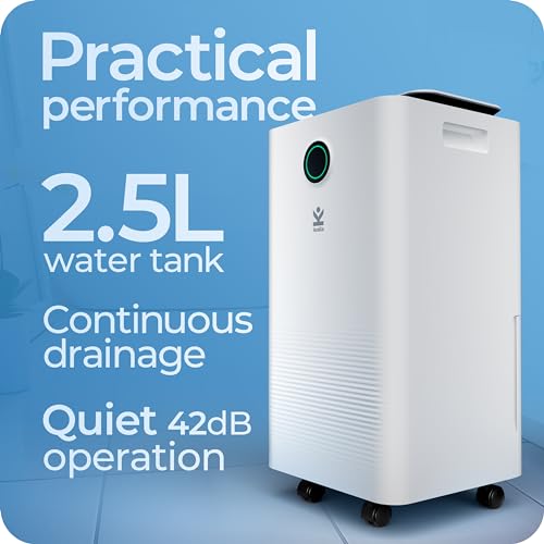 Avalla X-125 Dehumidifier for Home Drying