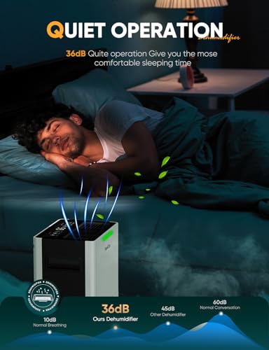 Dehumidifiers for Home Damp
