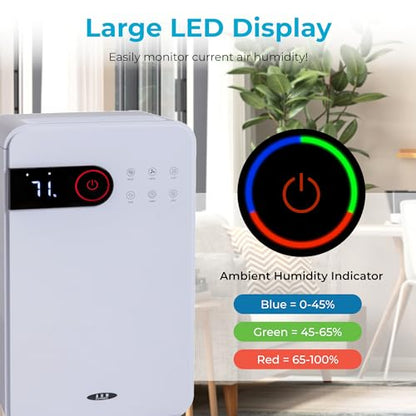 Dehumidifier 12L/Day with Digital Humidity Display