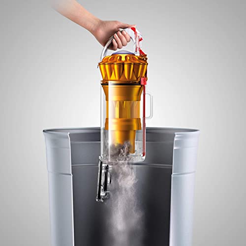 Dyson DC40 Multi Floor Lightweight