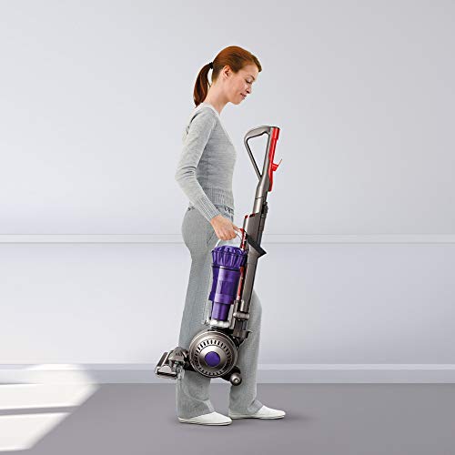Dyson DC40 Animal Lightweight