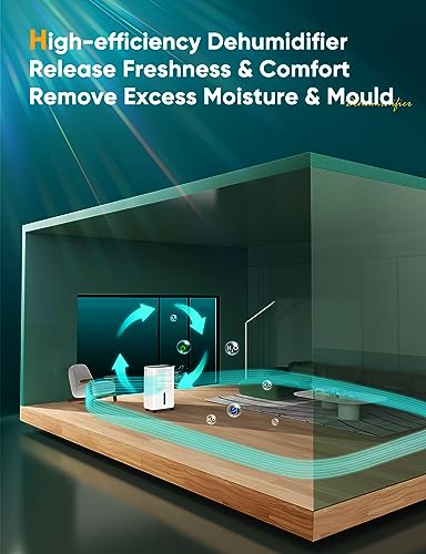 12L/Day Dehumidifiers for Home Damp