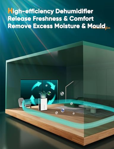 Dehumidifiers for Home Damp