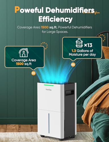 Dehumidifiers for Home Damp