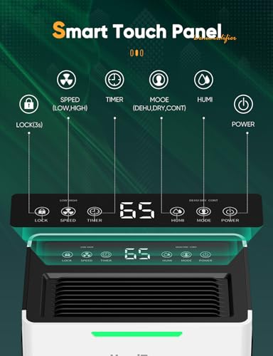 Dehumidifiers for Home Damp