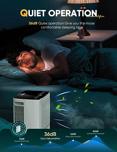 12L/Day Dehumidifiers for Home Damp