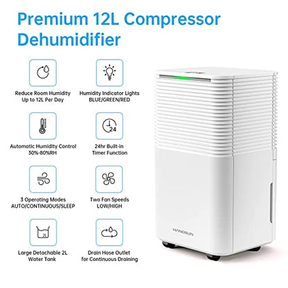Hangsun 12L Dehumidifier with Digital Humidity Display