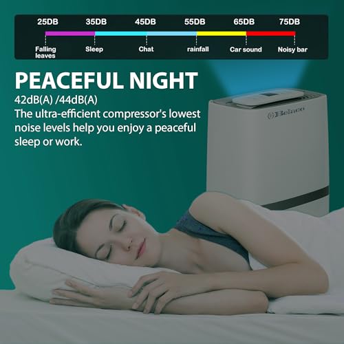 Belaco 20L/Day Dehumidifier, Portable Dehumidifiers for Home