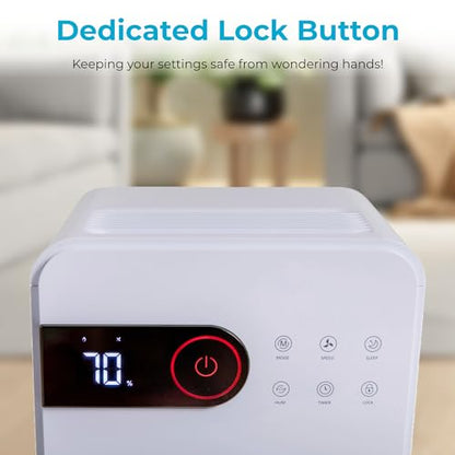 Dehumidifier 12L/Day with Digital Humidity Display