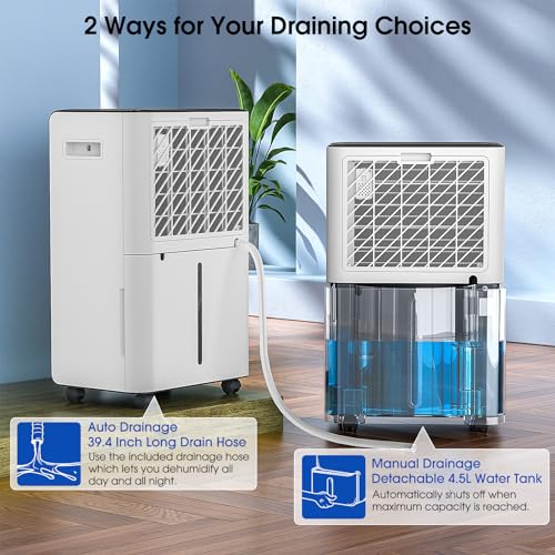 Hangsun 20L/Day Dehumidifiers for Home Dehumidifier for Drying Clothes and Damp