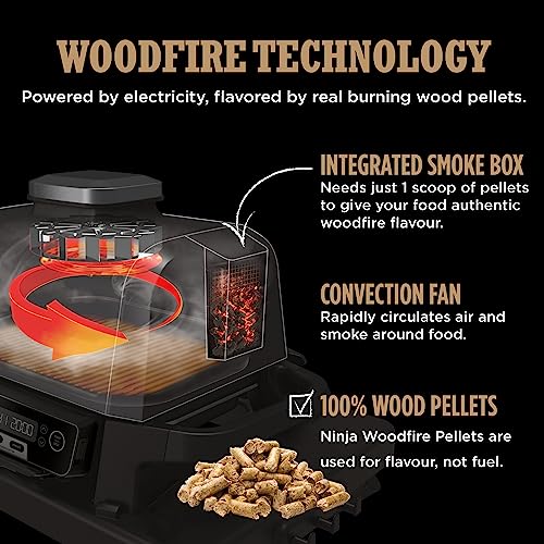 Ninja Woodfire Electric Outdoor BBQ Grill