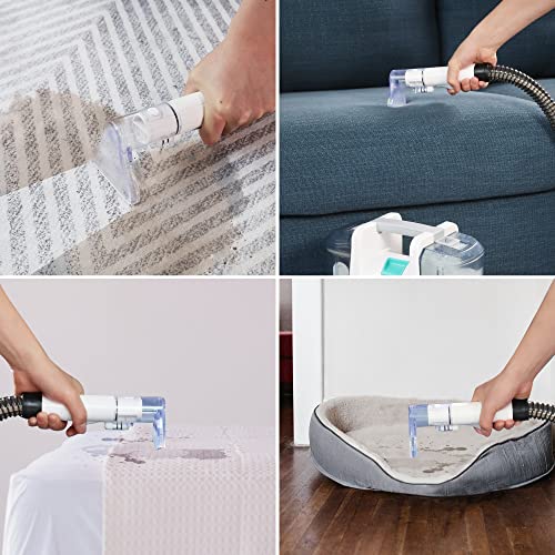 HAUSHOF Spot Carpet Cleaner Machine