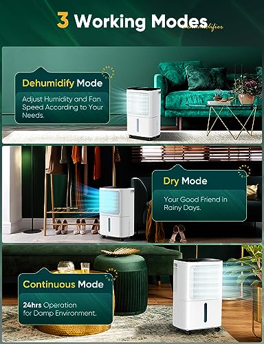 12L/Day Dehumidifiers for Home Damp