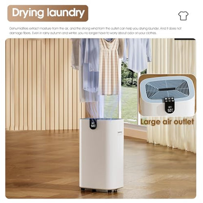 BAPHIYA 20L Dehumidifier with HEPA Filter, Low Energy Compressor