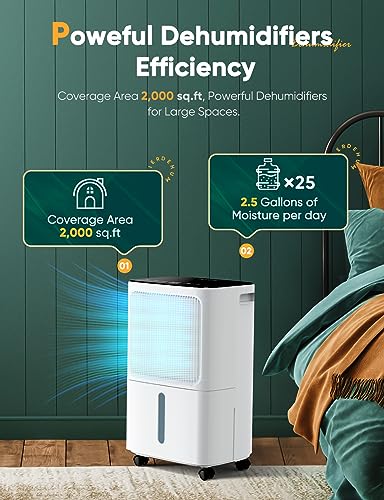 12L/Day Dehumidifiers for Home Damp