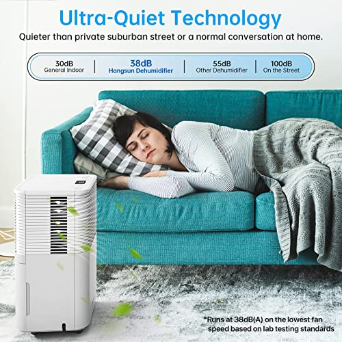 Hangsun 12L Dehumidifier with Digital Humidity Display