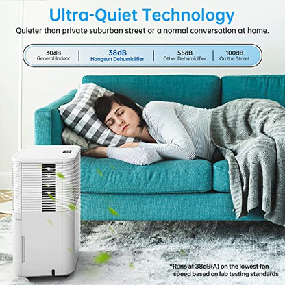 Hangsun 12L Dehumidifier with Digital Humidity Display
