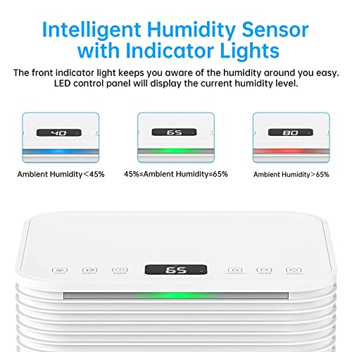 Hangsun 12L Dehumidifier with Digital Humidity Display