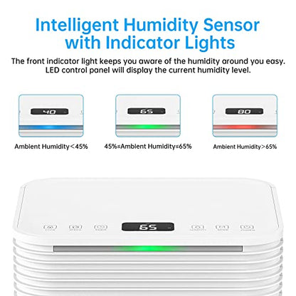 Hangsun 12L Dehumidifier with Digital Humidity Display