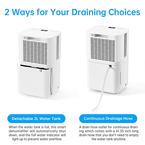 Hangsun 12L Dehumidifier with Digital Humidity Display
