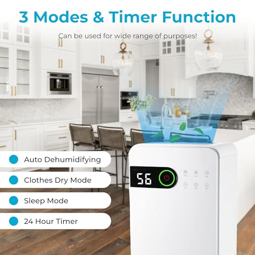 Dehumidifier 12L/Day with Digital Humidity Display