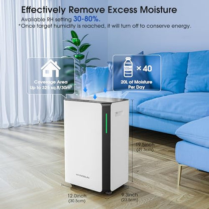 Hangsun 20L/Day Dehumidifiers for Home Dehumidifier for Drying Clothes and Damp