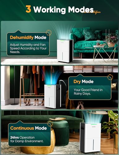 Dehumidifiers for Home Damp