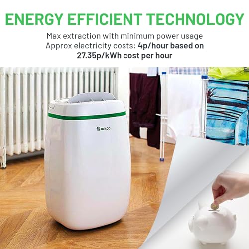 Meaco 12L Low Energy Dehumidifier and Air Purifier