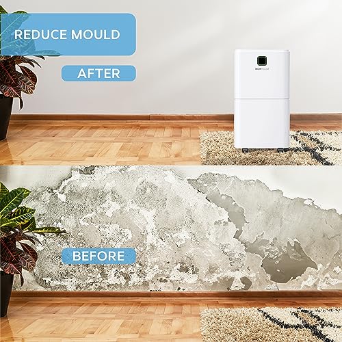 MONHOUSE 12L/Day Digital Dehumidifier