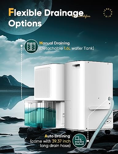 12L/Day Dehumidifiers for Home Damp