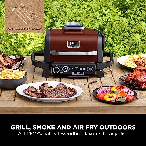 Ninja Woodfire Electric Outdoor BBQ Grill