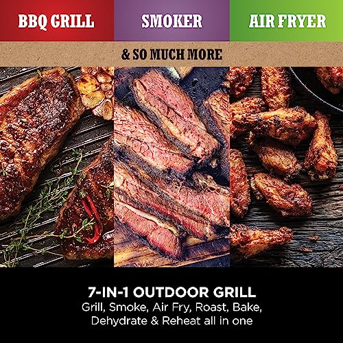 Ninja Woodfire Electric Outdoor BBQ Grill