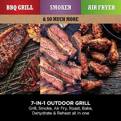 Ninja Woodfire Electric Outdoor BBQ Grill