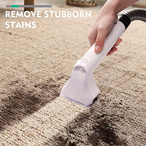 HAUSHOF Spot Carpet Cleaner Machine
