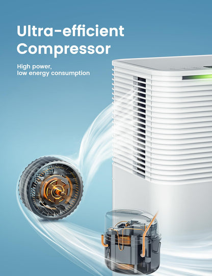 12L/Day Dehumidifier
